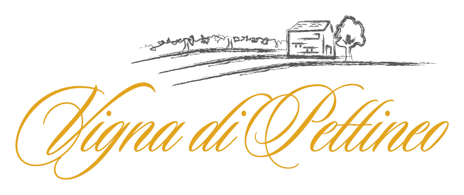 Vigna di Pettineo